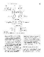 Bhagavan Medical Biochemistry 2001, page 676